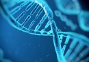 Vědci přiznali, že nevědí, k čemu slouží 75 % lidské DNA