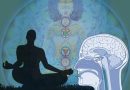 Harvardská studie: díky meditaci vzniká v mozku nová šedá hmota