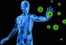 Špatná i dobrá zpráva zároveň: náš imunitní systém má paměť