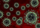 Přípravy na depopulaci v přímém přenosu: vědci si hrají s novým virem ptačí chřipky