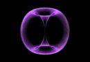 Plazmatická pole ve tvaru toru jako základ života a gravitace (1/2)