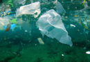 90 % plastového odpadu v moři pochází z Asie a Afriky – tak proč se o ekologii neustále káže nám?