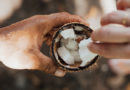 Kokosový olej čistí střeva – jak provést detoxikační kúru