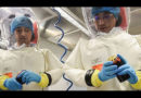 Nový koronavirus jako pomsta laboratorních opic