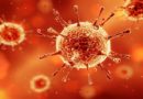Viry jsou citlivé vůči pH, prospívá jim kyselé prostředí