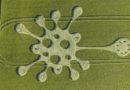 V Anglii se objevil první kruh v obilí… nápadně připomíná koronavirus