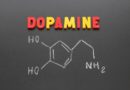 Životně důležitý dopamin – jak funguje a co ovlivňuje jeho tvorbu (1/2)