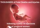 HIN: „Vakcíny C-19 těhotným ženám zabíjejí jejich budoucí děti: v evidenci je již 1614 mrtvých plodů“