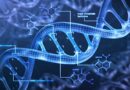 Test metylace DNA měří biologické stárnutí; proč se mladším lidem po covidu prodlužují telomery?