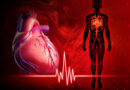 Dr. Thomas Cowan o funkci srdce: všechno je jinak, než jsme si dosud mysleli (2/2)