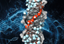NV: Chirální vodní superstruktura kolem DNA