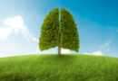 Jirkovou optikou (400. Země ztrácí kyslík, bude zřejmě problém dýchat… obklopte se zeleným.. stihnou se z lidí stát „rostliny“ včas?)
