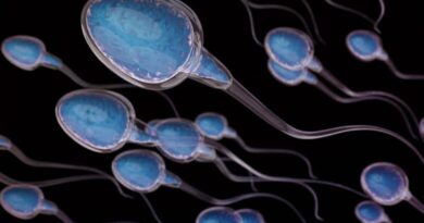 Po pohlavním styku se ženám DNA z mužského spermatu dostává až do mozku