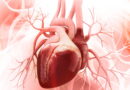 Útok na srdce: alespoň drobné poškození srdce utrpěl po „očkování“ proti covidu KAŽDÝ příjemce
