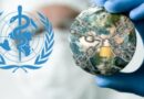 Proč bude nová pandemická úmluva WHO katastrofa pro zdraví i svobodu