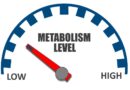 Inzulinová rezistence a pomalý metabolismus – co spojuje prakticky všechny chronické nemoci (1/2)