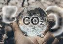 Znovu o oxidu uhličitém – bez CO2 se dusíme