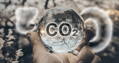 Znovu o oxidu uhličitém – bez CO2 se dusíme