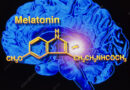 Nejstarší antioxidant melatonin zachraňuje při infarktu, mitochondrie bez něj nepřežijí (2/2)