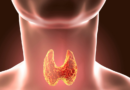 V USA se (znovu) pomalu chystají zakázat výtažek ze sušené štítné žlázy, jehož kvalita je se syntetickými hormony nesrovnatelná