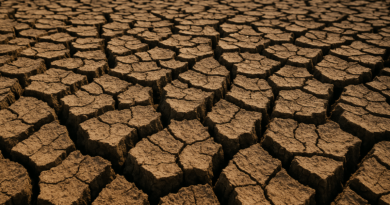 Fašiový problém: vaše bolest je vyschlé, dehydratované tělo