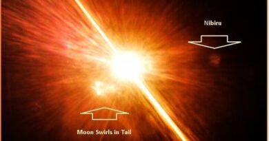 Poslové zkázy Poslové zkázy