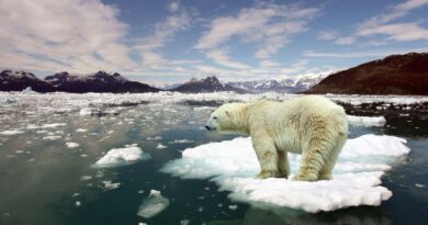 Klimatická změna je základem výdělečného byznysu, proto se nesmí pochybovat o jejích údajných příčinách