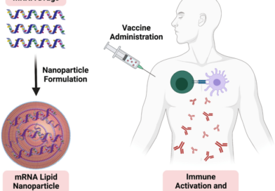 Těla mrtvých pohřbených vojáků se stále připojují k bluetooth Těla mrtvých pohřbených vojáků se stále připojují k bluetooth