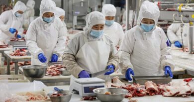 Reptilové jedí lidské šišinky, do karbanátků melou lidské maso