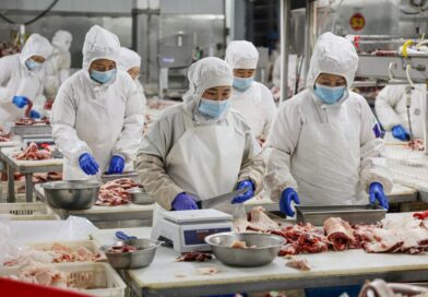 Reptilové jedí lidské šišinky, do karbanátků melou lidské maso