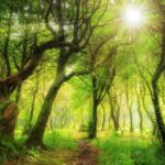 Jak duševně přežít ve světě plném temnoty? Díky kráse.