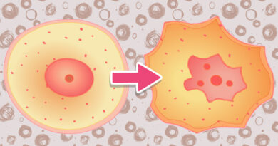 Je původní příčinou chronických onemocnění to, že buňky přešly do nouzového režimu? Je původní příčinou chronických onemocnění to, že buňky přešly do nouzového režimu?