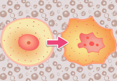 Je původní příčinou chronických onemocnění to, že buňky přešly do nouzového režimu? Je původní příčinou chronických onemocnění to, že buňky přešly do nouzového režimu?