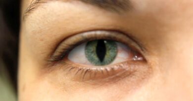 Lze poznat reptiliána?