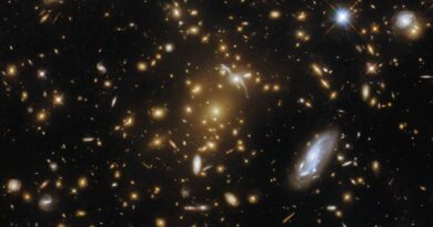 Je lidský život experiment a vesmír laboratoř? Je lidský život experiment a vesmír laboratoř?