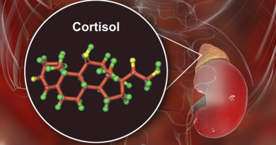 Jak si efektivně zklidnit kortizol