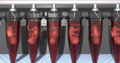 Gatesem podporovaný startup uvažuje o tvorbě klonů bez mozků