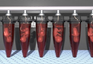 Gatesem podporovaný startup uvažuje o tvorbě klonů bez mozků