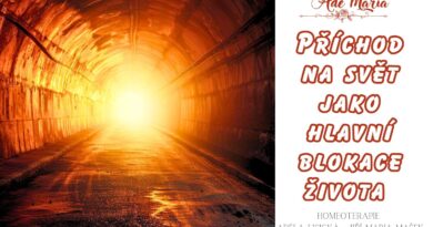 Příchod na svět jako blokace života