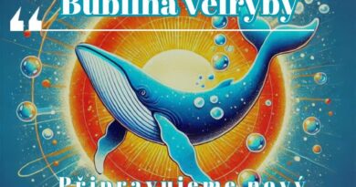 Díl z Bubliny Velryby: Ionizované železo