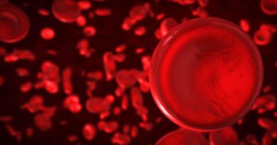 Když se krev zpomalí: prach, železo a změna prostředí v těle (1.) Když se krev zpomalí: prach, železo a změna prostředí v těle (1.)