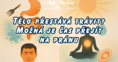 * Tělo přestává trávit? Možná je čas přejít na pránu! * Tělo přestává trávit? Možná je čas přejít na pránu!