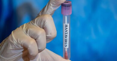 Na hantavirus prý už jsou mRNA vakcíny, chystá se něco většího?