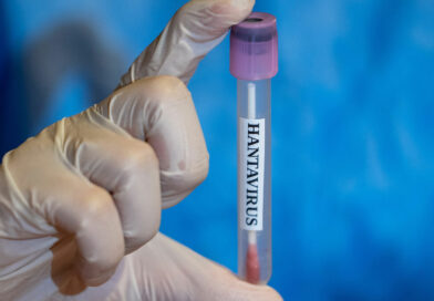 Na hantavirus prý už jsou mRNA vakcíny, chystá se něco většího?