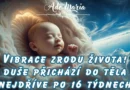 * Vibrace zrodu