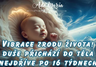 * Vibrace zrodu
