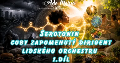 * Serotonin 1 * Serotonin 1