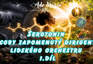* Serotonin 1 * Serotonin 1