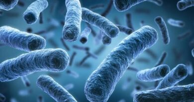 Sporebiotika chrání před EMF a pomáhají autistům (1/2) Sporebiotika chrání před EMF a pomáhají autistům (1/2)