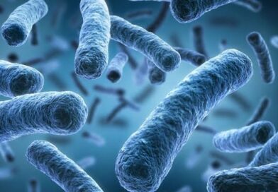 Sporebiotika chrání před EMF a pomáhají autistům (1/2) Sporebiotika chrání před EMF a pomáhají autistům (1/2)